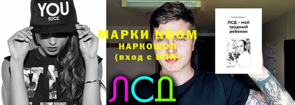 PSILOCYBIN Медвежьегорск