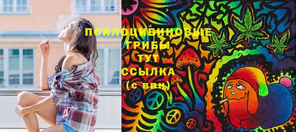 амф Михайловка