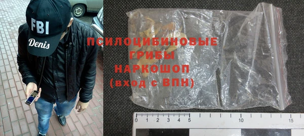 PSILOCYBIN Медвежьегорск