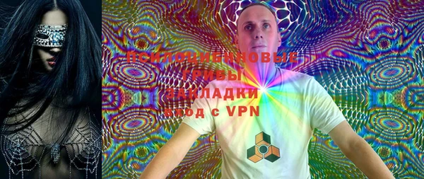 PSILOCYBIN Медвежьегорск