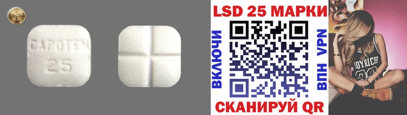 мега ТОР  Малгобек  Лсд 25 экстази ecstasy  сколько стоит 