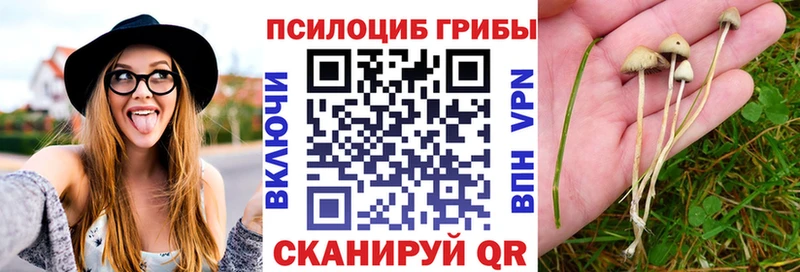 Галлюциногенные грибы ЛСД  закладки  kraken зеркало  Малгобек 